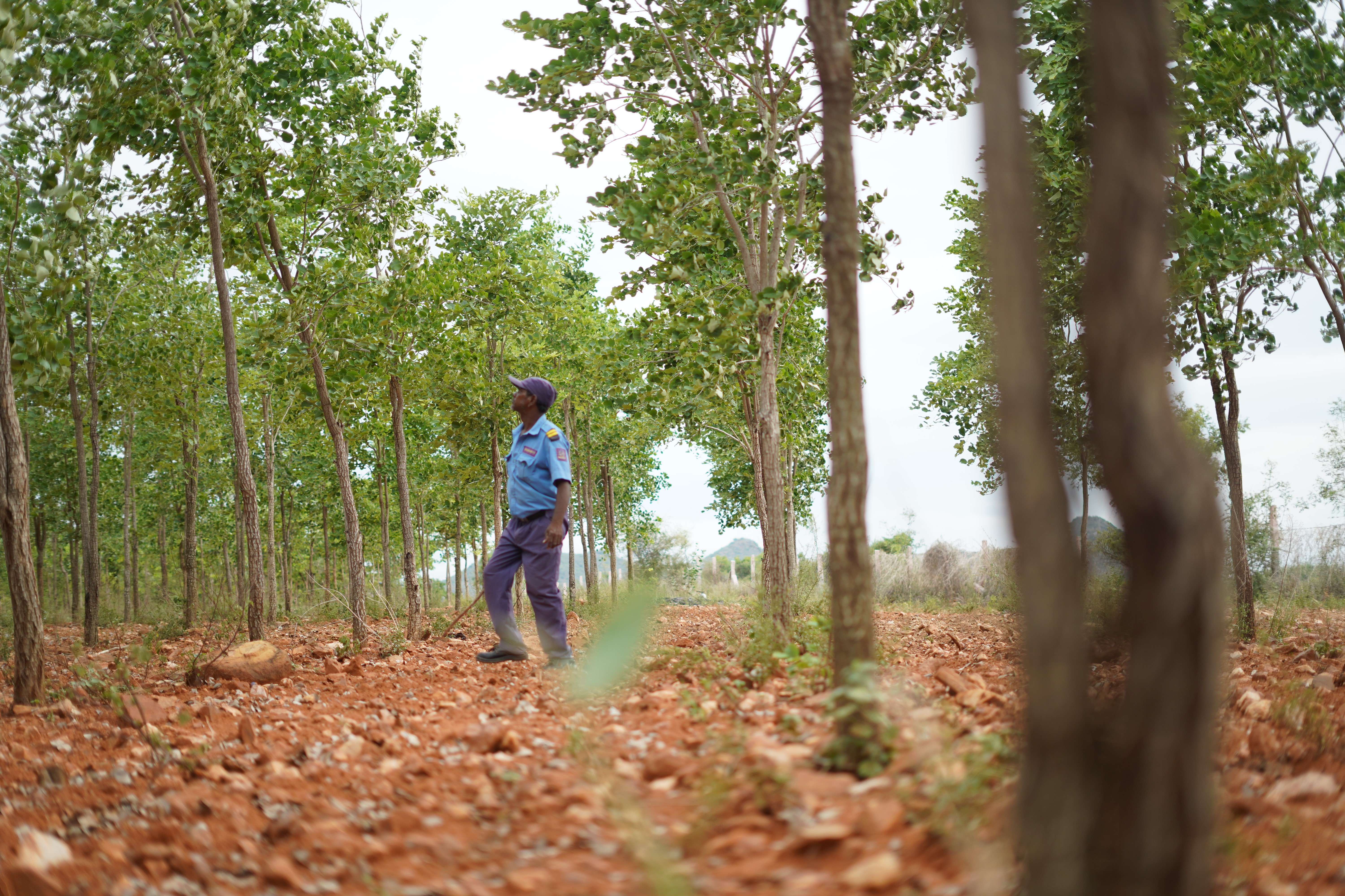 plotting and developent